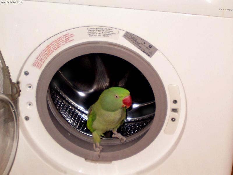 Foto:  Do�istanov� domov-Alexandr velik� si vybral nov� domov