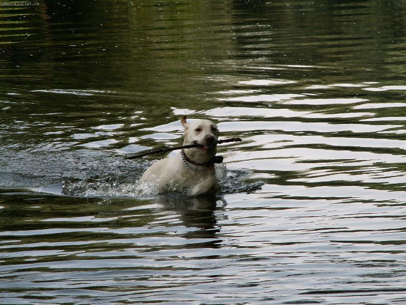 Foto: S�ra aportuje