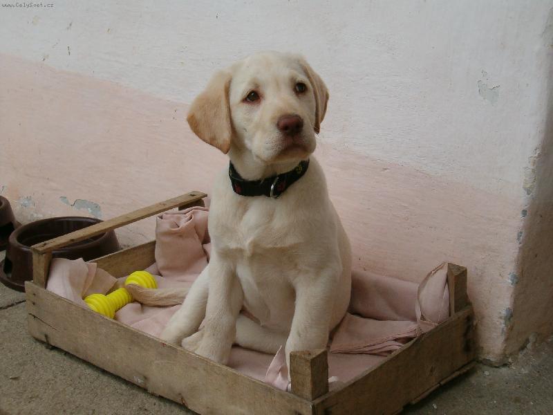 Foto: S�rina-Ty chce� abych �la do boudz, ne, tohle je m�j pel�ek!