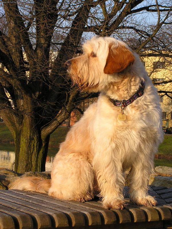 Foto: Mat�j-Mat�j�v profil