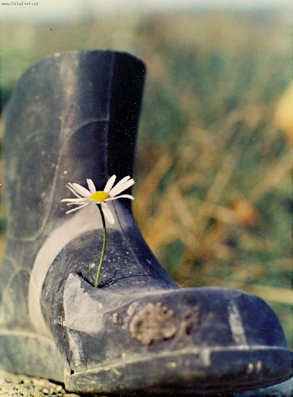 Foto: Rozmar p��rody-n�kde u smeti�t�