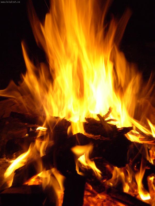 Foto: Plameny