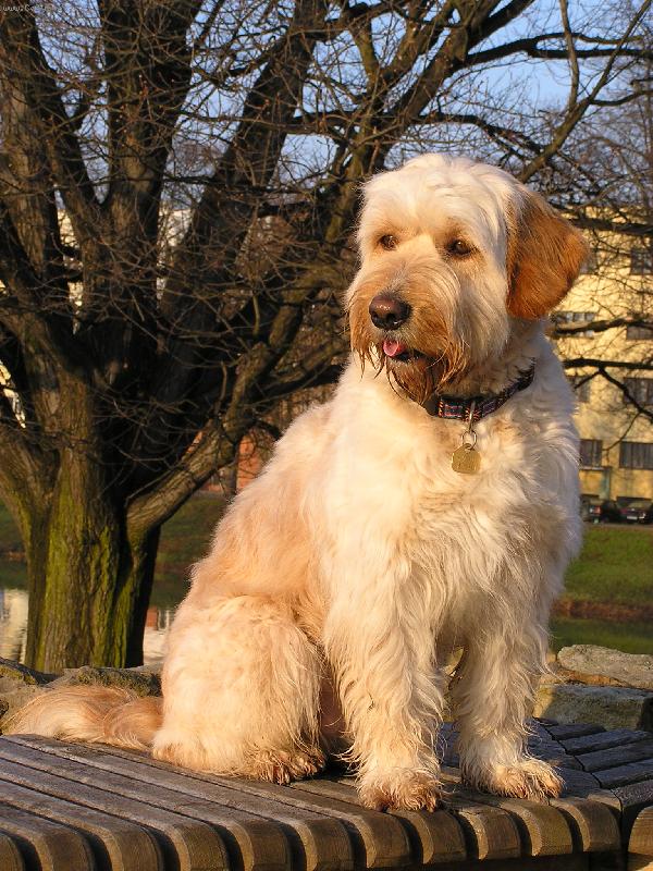 Foto: Nejzlat�j�� zla���ek-Mat�j��ek-. . . a tohle um�te? Jaz��ek do trubi�ky?