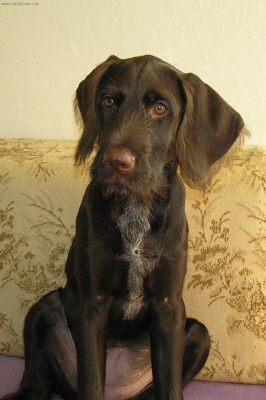 Foto: Orina