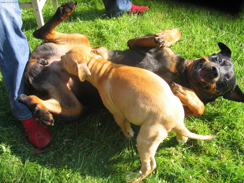 Foto: Kdo s koho...