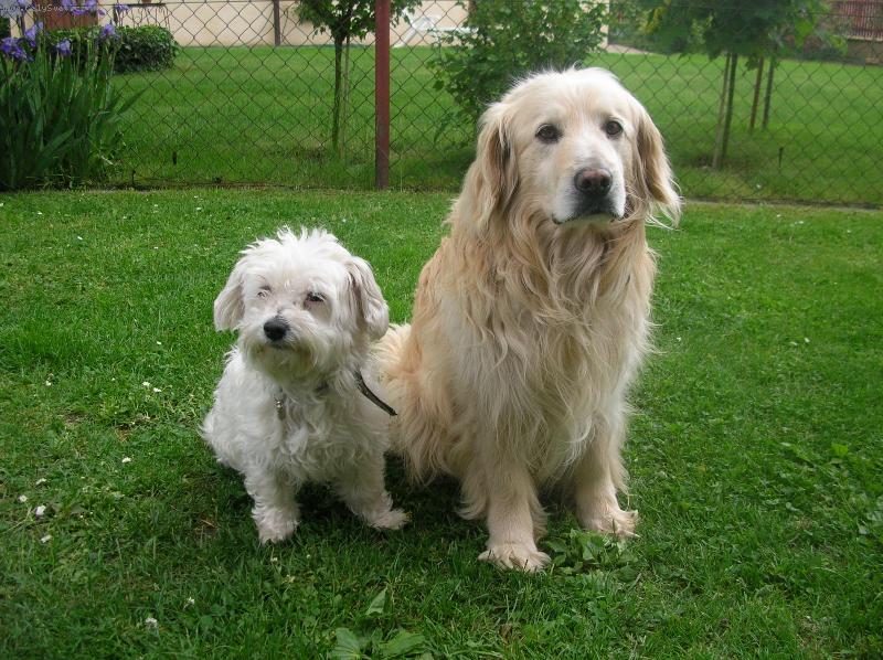 Foto: Kamar�di-Mont�k a Baron