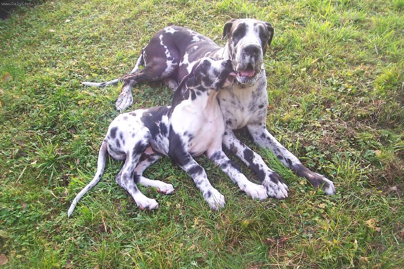 Foto: To je l�sky