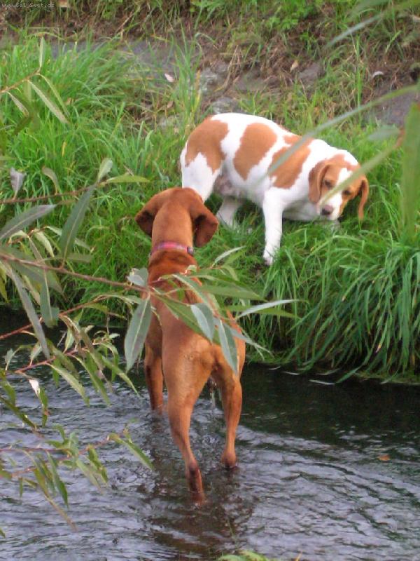 Foto: Poj� do vody...ani n�hodou!