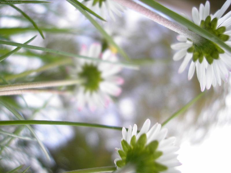 Foto: Ze �ivota brouk�-Sv�t je v�t�� ne� se zd�