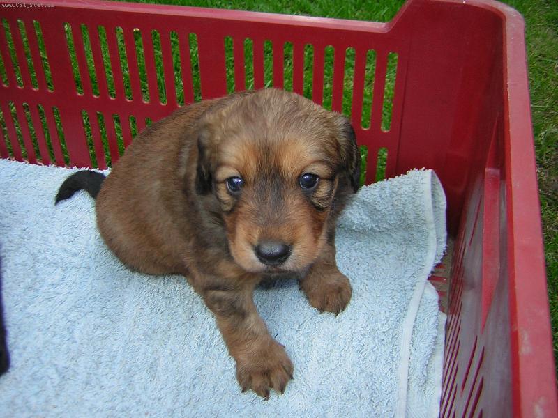 Foto: No nejsem rozko�nej?