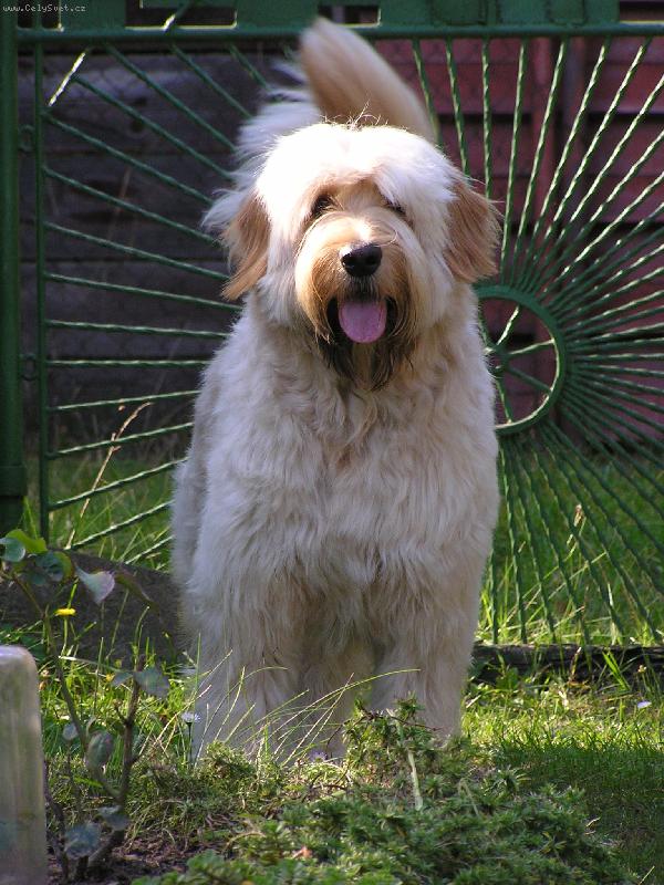 Foto: Mat�j-... 1..2..3...START!