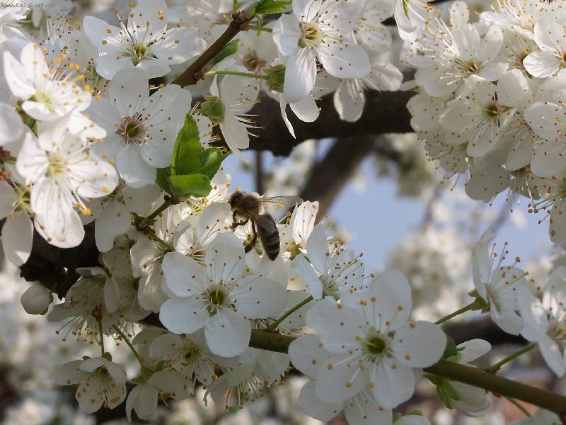 Foto: Kouzlo p��rody