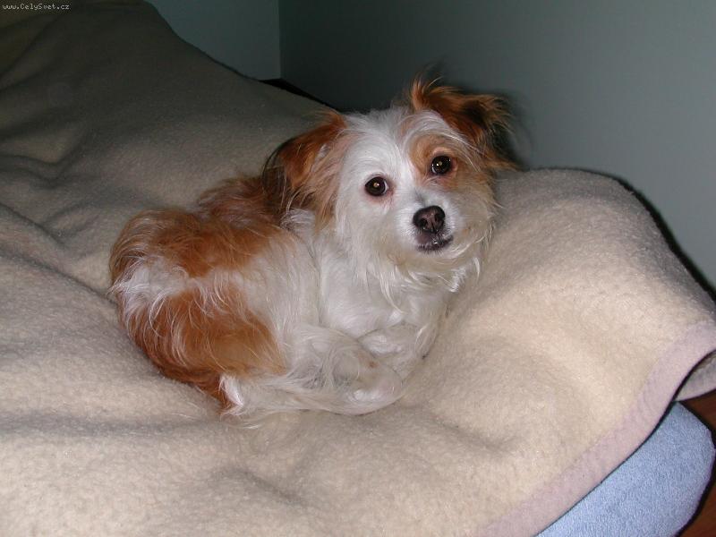 Foto: Ta�a-sice jsem o��ek,ale lidi m� maj� radi!