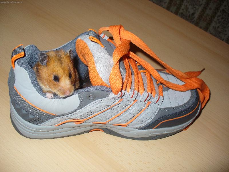 Foto: Hryzalka-Kuk....!