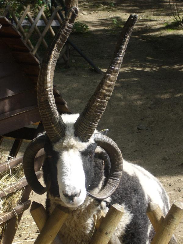 Foto: Nezkou�ejte m� na�tvat!-ZOO Brno