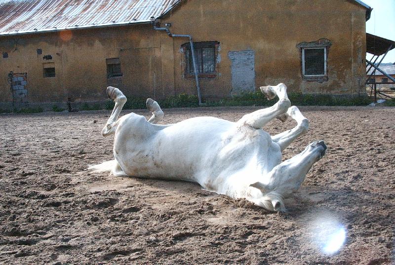 Foto: Terezka a jej� nej �inost