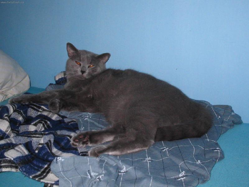 Foto: Vlo�nici