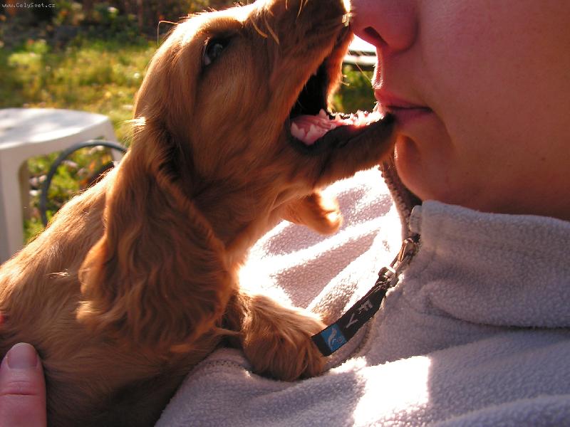 Foto: J� T� kousnu........