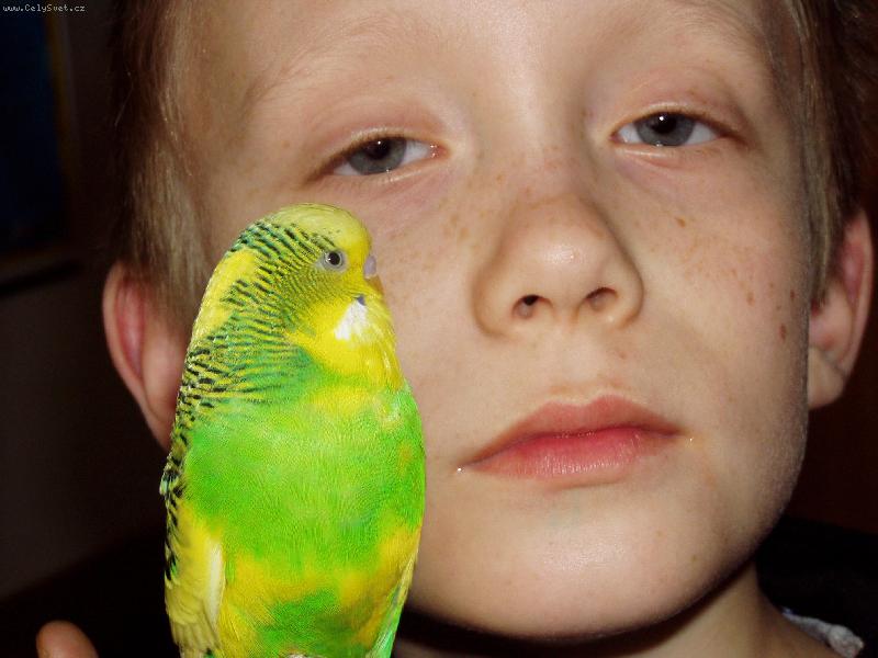 Foto: nekoukej tak na m�