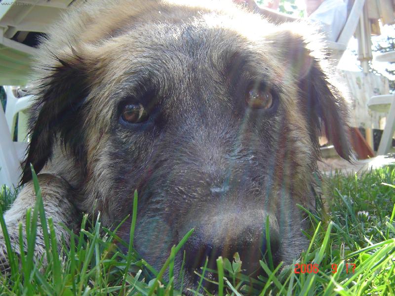 Foto: st�ev��ko