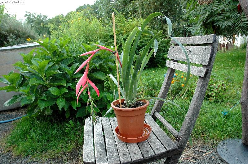 Foto: N�dhera.....