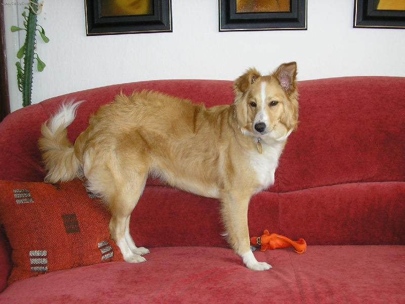 Foto: Bella-bella