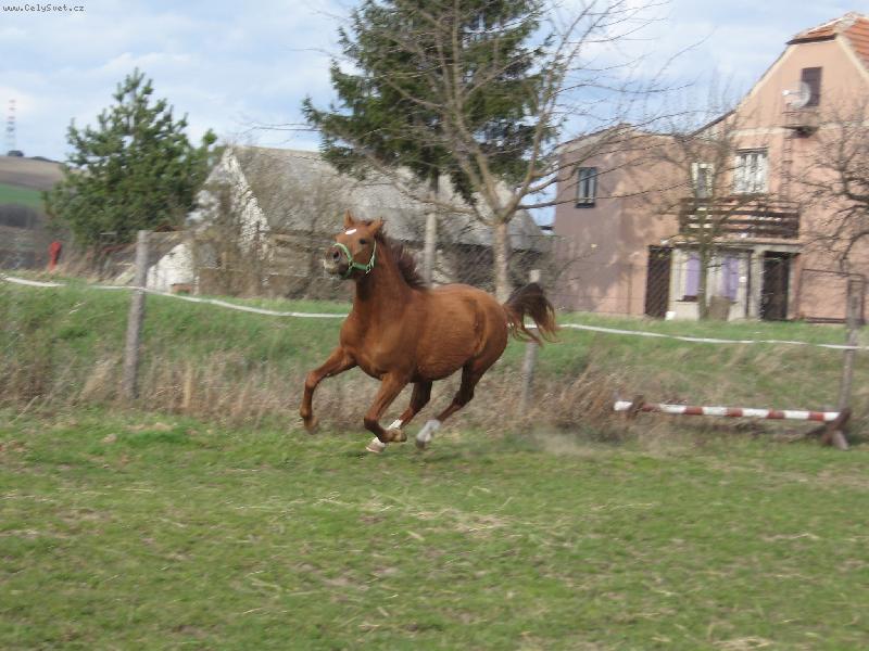 Foto: Ta volnost-Nick na j�zd�rn�