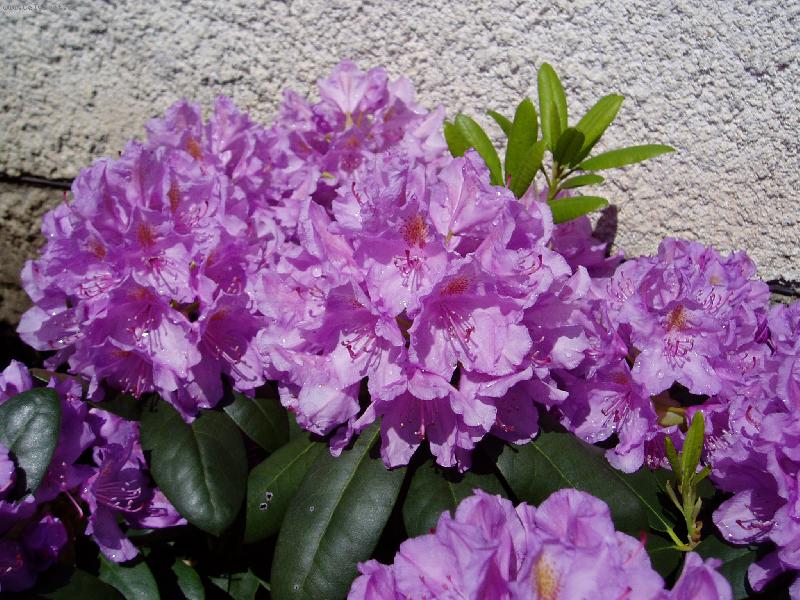 Foto: Kapky de�t�