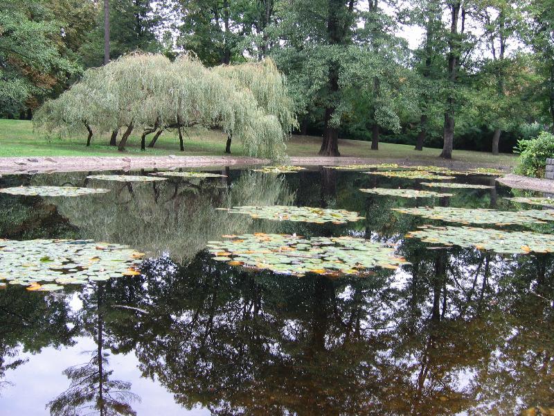 Foto: jez�rko-park v centru Chomutova