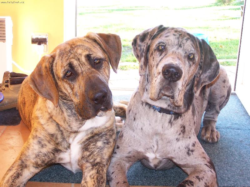 Foto: Fidel a Igor-Pozor!!! Vylet� pt��ek!