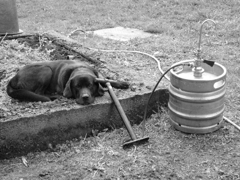 Foto: u� nem��u