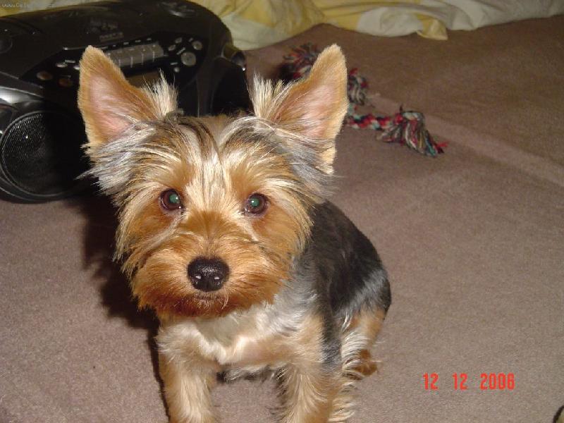 Foto: Monty-Monty