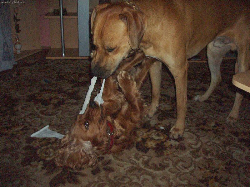 Foto: Dej to sem!! Ned�m!!!