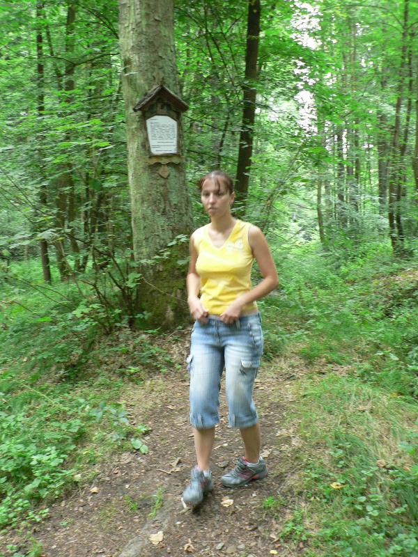 Foto: Zmije obecn�-letn� �lovek