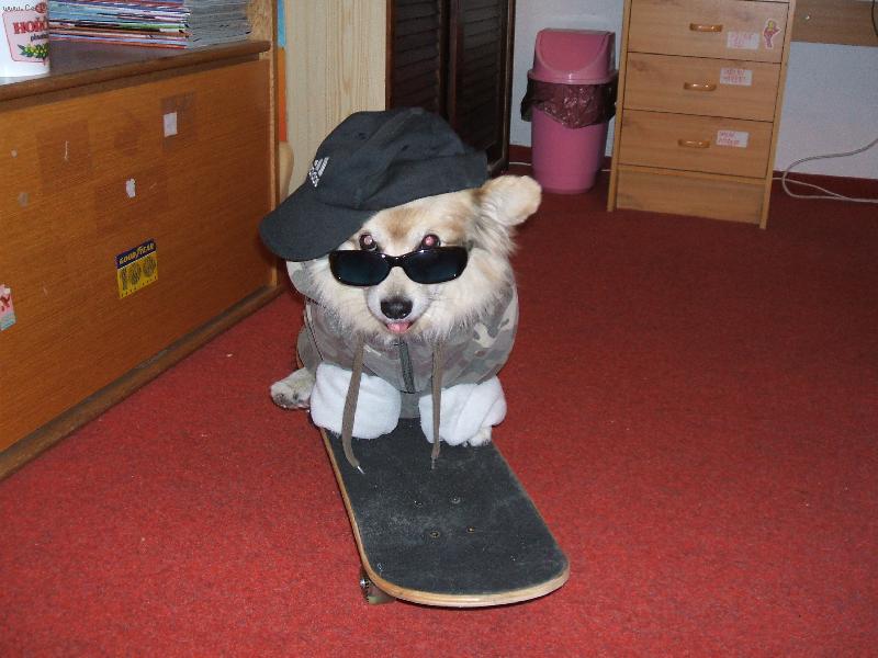 Foto: Ben�k skej��k-Ben��ek na skatu