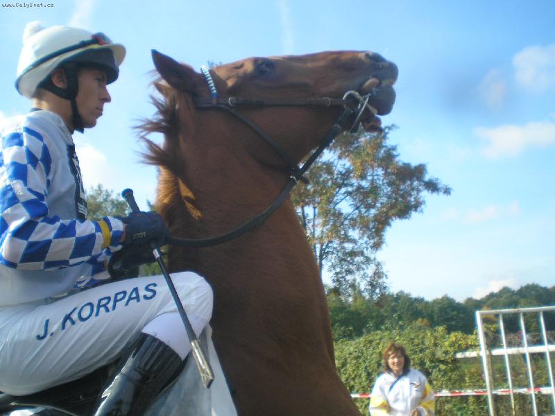 Foto: P�ed dostihem-No,ten temperament u� se asi nedal vydr�et...