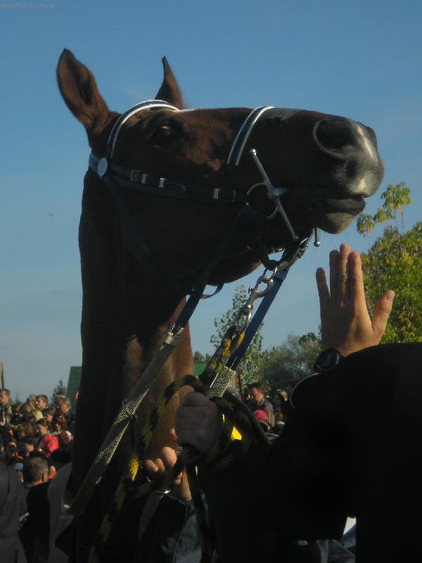 Foto: Velk� Pardubick� 06-Kontrola uzd�n� je d�le�it�