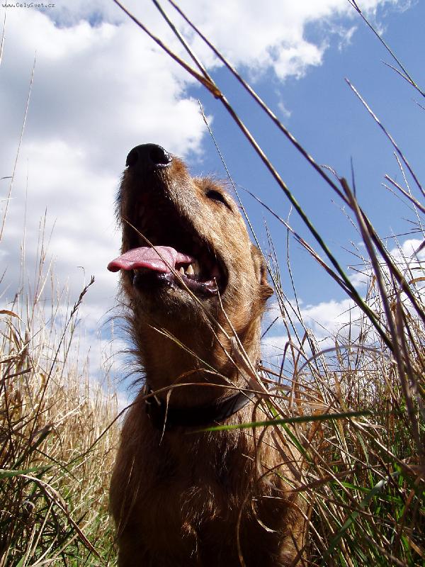 Foto: Nad v�c�.......