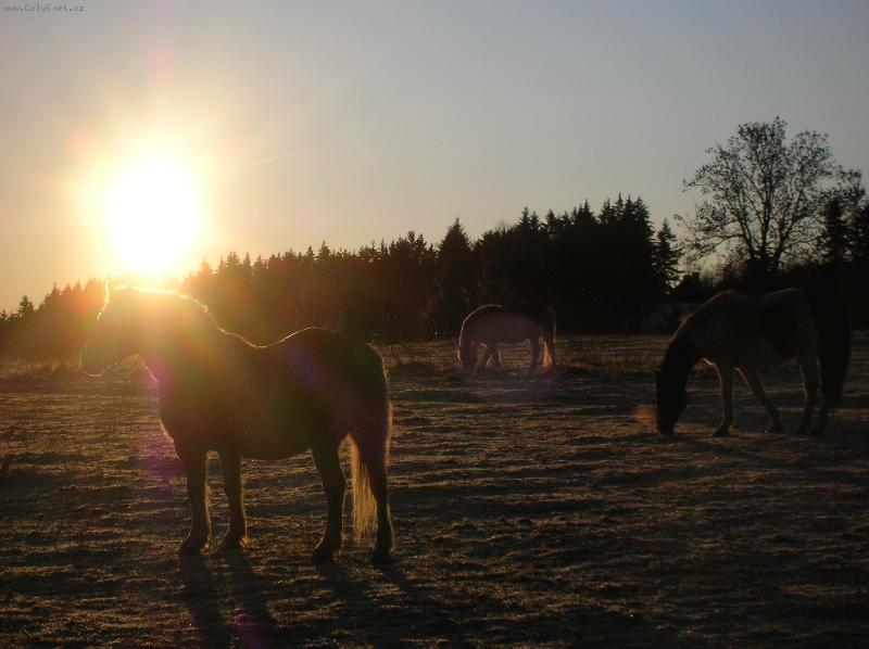 Foto: Zimn� r�no