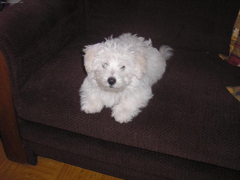 Foto: Eda hl�da�