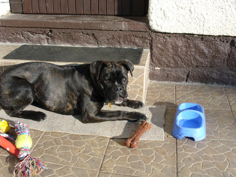 Foto: nella-to m�m hra�ek co?