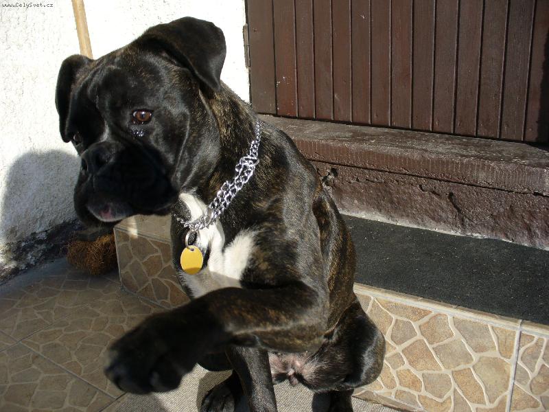 Foto: nella-um�m d�vat pac