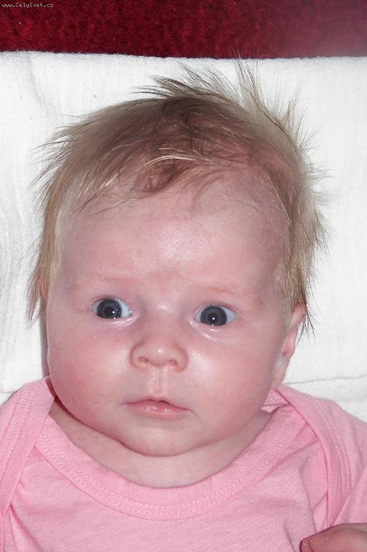 Foto: Ani�ka-na�e st�apat� Ani�ka