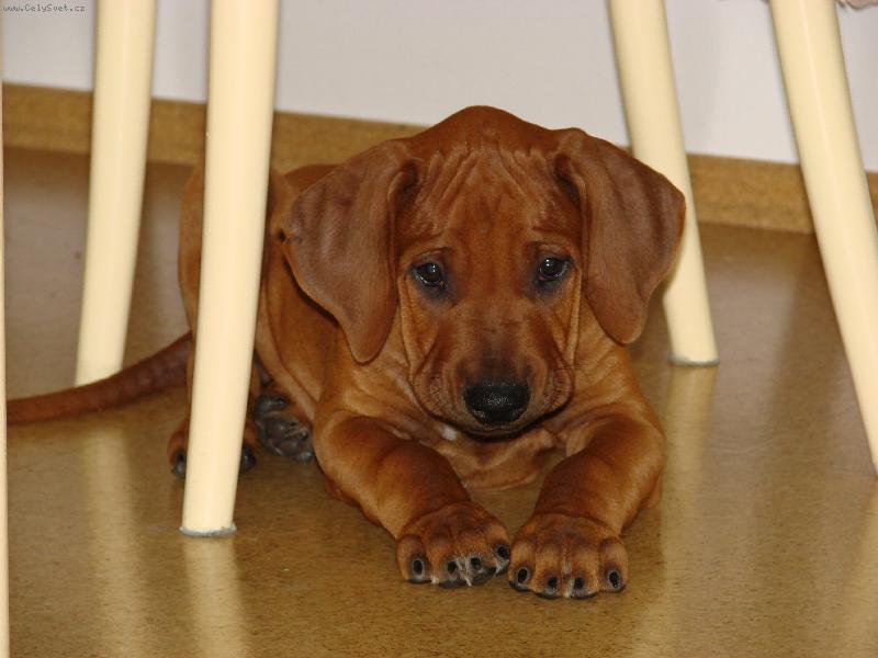 Foto: Montego
