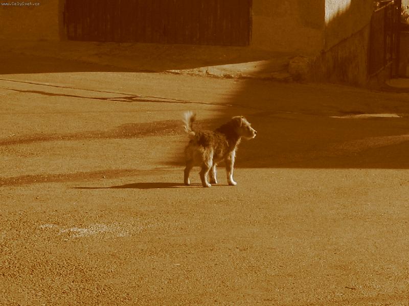 Foto: Opu�t�n�