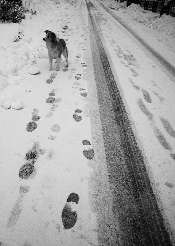 Foto: Kone�n� sn�ek!-prvni letosni snih, no... X)