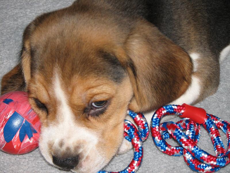 Foto: Max�k 5.11.2006-Poprv� doma