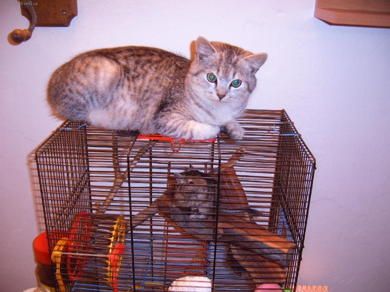 Foto: j� a m�j nejlep�� p��tel