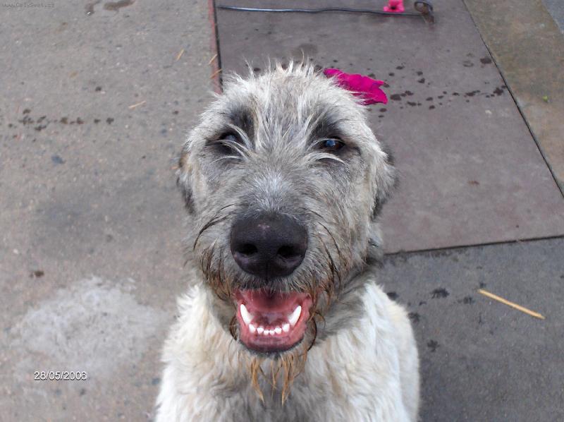 Foto: ad�lka-ad�lka par�dnice