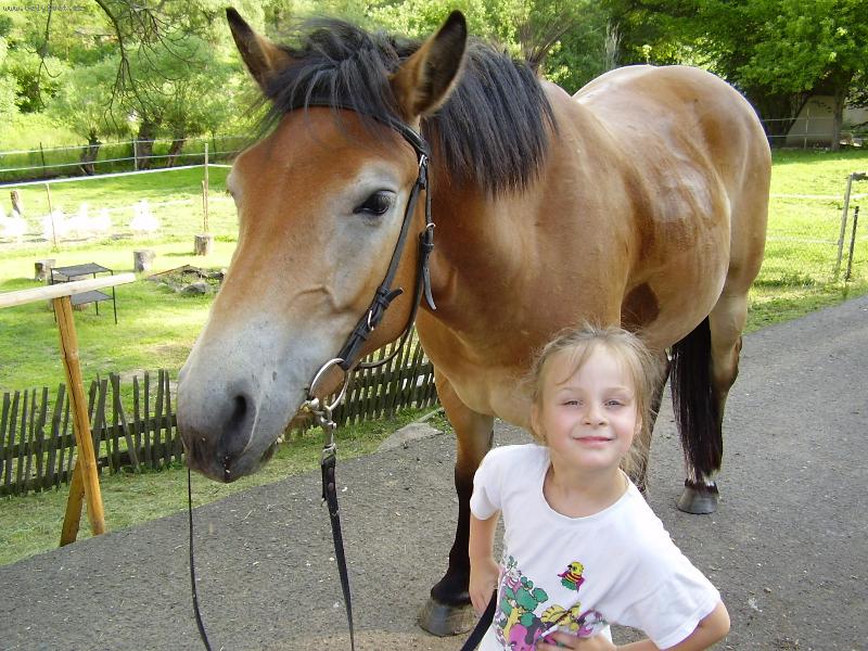 Foto: na�i mil��kov�